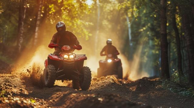 ATVs in the forest