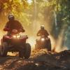 ATVs in the forest